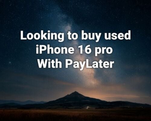 payLater payment