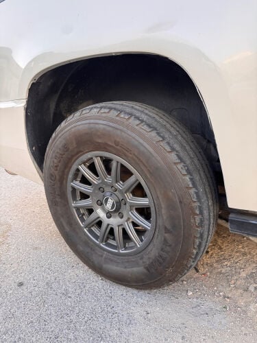 برايد ماستر مع شواهين جدد