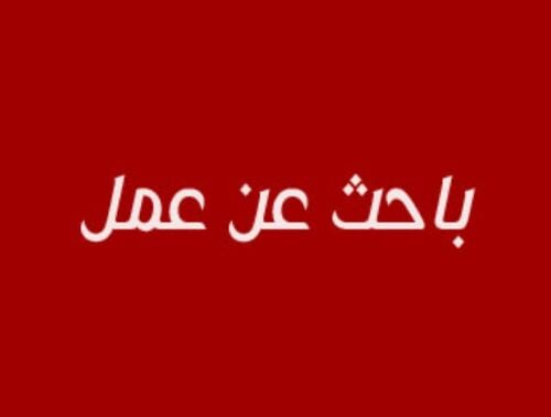 خبرة فى المناقصات الحكومية وإدارت