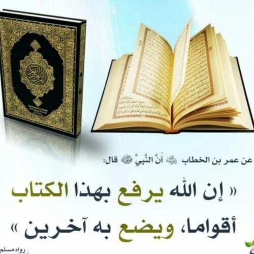 يوسف ابكر محمد