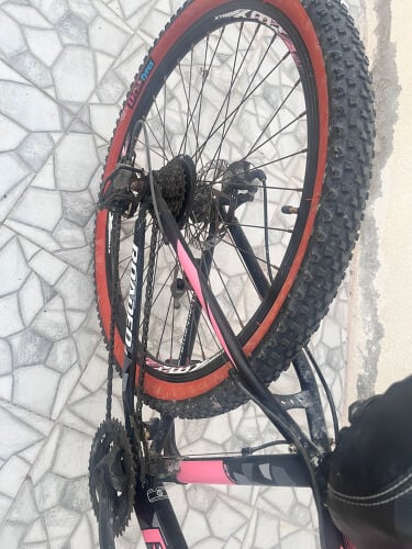 bicycle 