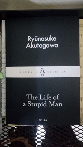 book: the life of a stupid man