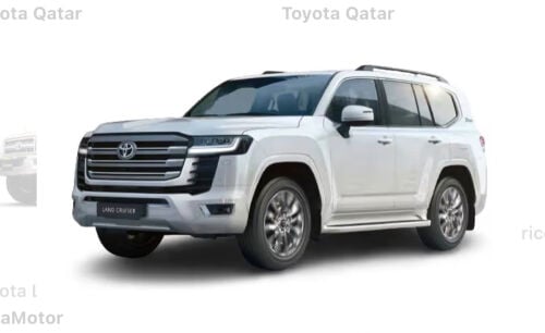 I need a Srilankan family driver