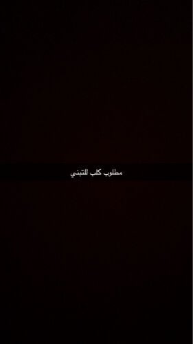 مطلوب كلب للتبني