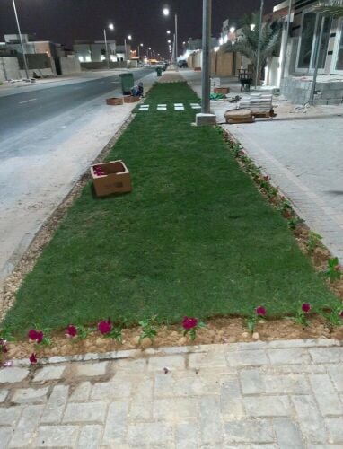 زراعة العشب الطبيعي