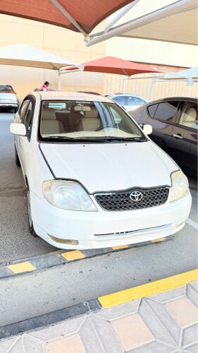 corolla 