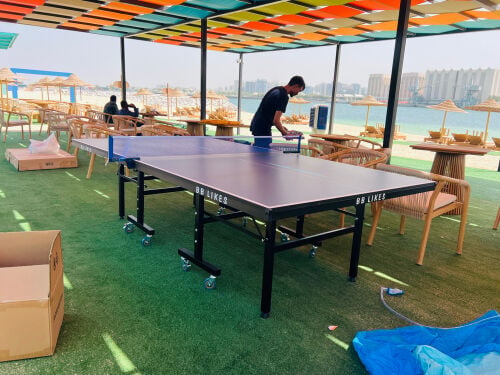 Table Tennis
