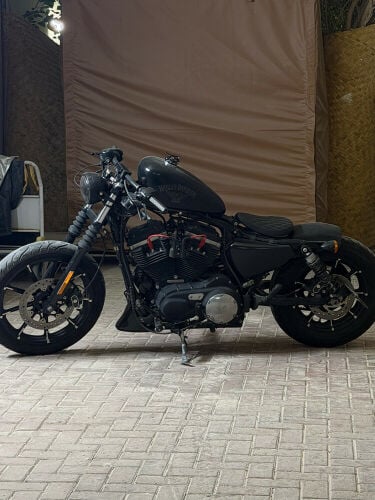 harely sportster bobber