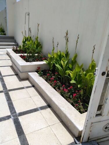 عمل الاحواض