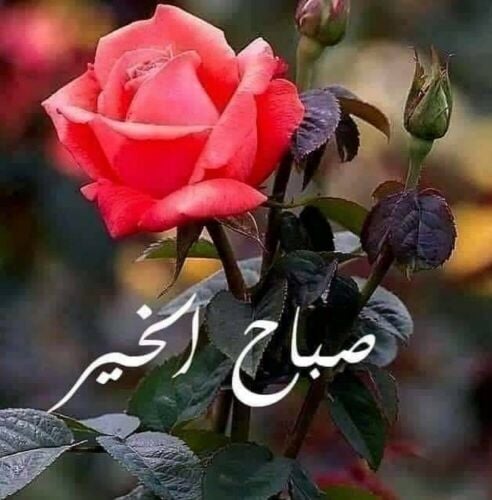 مطلوب للعمل من الجنسين