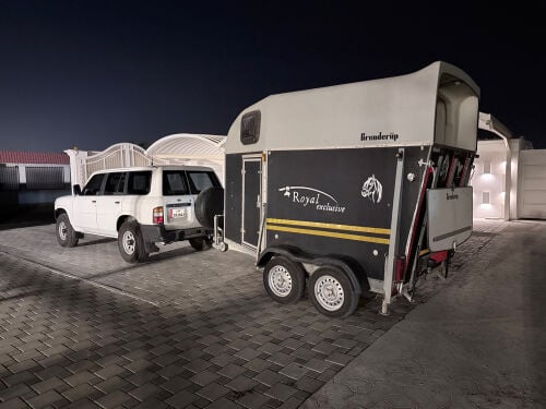 horse transport 