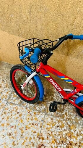 baby cycle