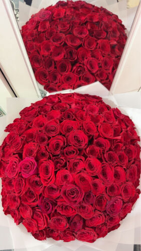 Roses 