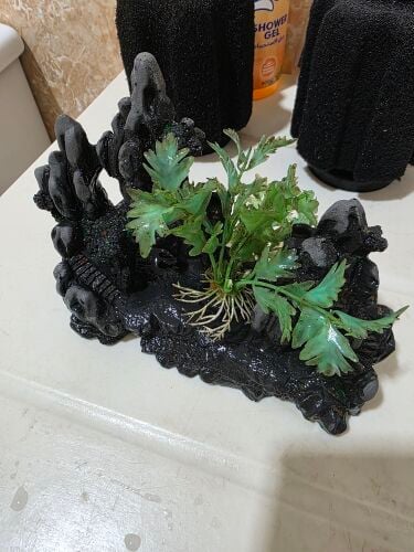 Fish Tank Accessories