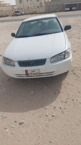 محمد