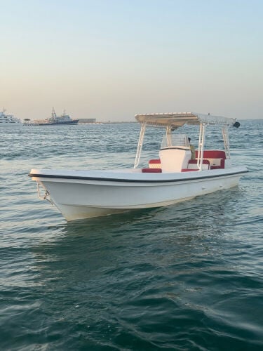 Tornado 24 twin Yamaha 85