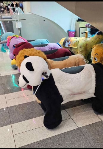 battery operated animal riding 