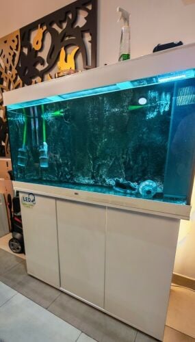 Juwel 350L Aquarium
