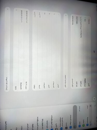 iPad