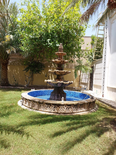 زراعة وديكور