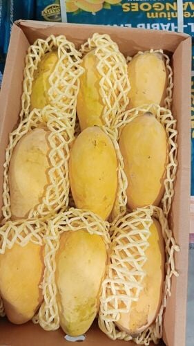 mango