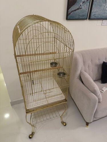 Beautiful Big Golden Cage