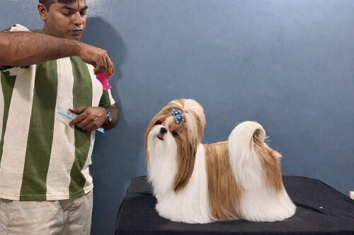 sidhu