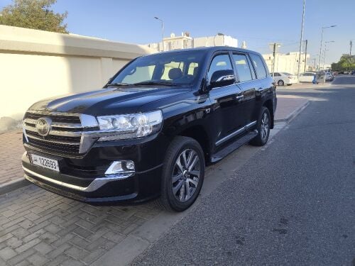 في اكس ار 2019