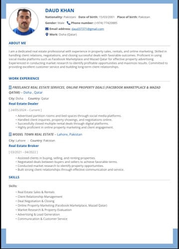 PROFESSIONAL CV MAKER