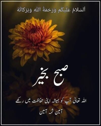 Shahwaiz Baloshi
