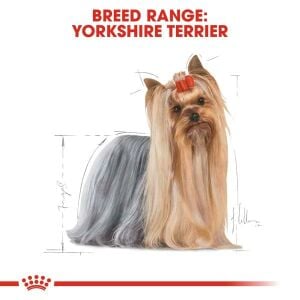 Breed Nutrition Adult Dog