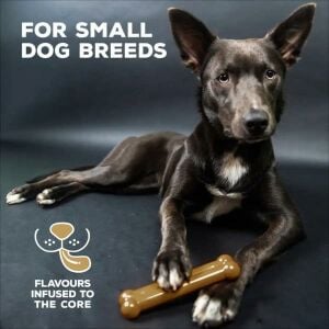 Durable Nylon Dog Chew Toy Bone