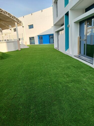 Grass carpet, artificial grass