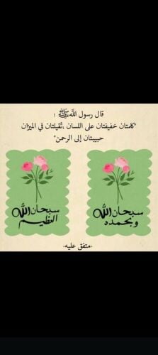 طه  الشفيع  محمد الأمين
