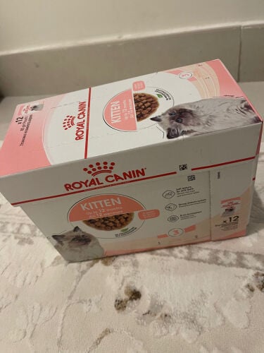 مستلزمات القطط 