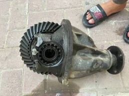 مطلوب كرونة فتك 43 دفلك