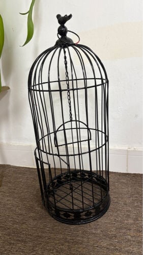 Bird cage for sale