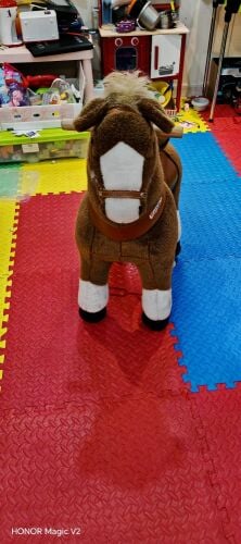 PonyCycle Kids Ride