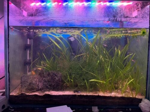 aquarium
