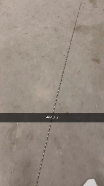 صيخ موترولا