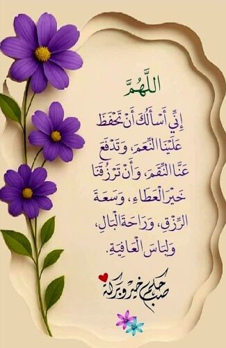 الأستاذ / علاء