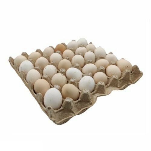 ...fresh baladi chicken eggs.