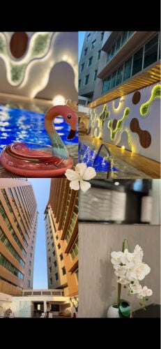 مصوره 