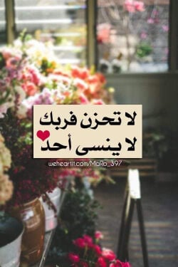 سائق ابحث عن عمل خبرة 20سنه 