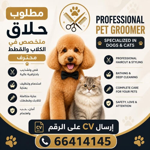 مطلوب حلاق محترف للكلاب والقطط 