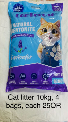 Cat Accessories 
