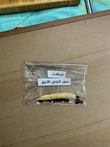 بذور للبيع