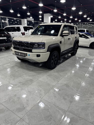 ليوبارد 5 / 2025