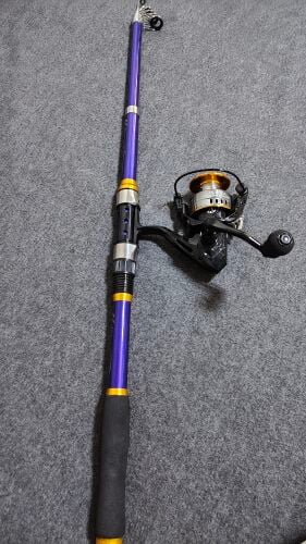 Fishing rod with reel
