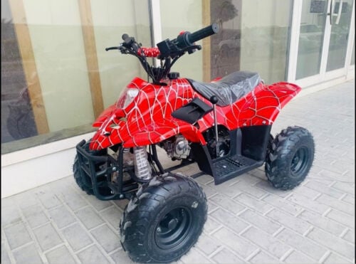 Petrol car 110cc